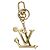 LOUIS VUITTON LV Iconic Superflat Charm Metall Goldton M02468 LV Auth LNZ409SAM - Ansicht 5