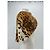 Autre Marque Bolero in pelliccia di leopardo Marrone - vista 3