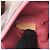 Sac à main Pallas Louis Vuitton Marron Rose Rouge - vue 5