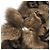 Sciarpa Tippet Monogramma Fiore Louis Vuitton Marrone - vista 3