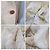 Roberto Cavalli Animalier Y2K Jacke Beige - Ansicht 9