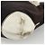 CHANEL COCO Borsa a Spalla con Catena in Tela Nera Oro CC Auth BA10872 Nero D'oro - vista 15
