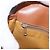 Céline Bolso de Hombro de Lona Macadam CELINE PVC Beige Oro Auth LNZ981 Dorado - vista 21