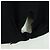 Dolce & Gabbana DOLCE&GABBANA D&G x Jujutsu Kaisen Camiseta Cortada de Algodón Negra Auth 167071SM Negro - vista 11