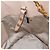 Borsa a mano Miu Miu in pelle 2 in 1 rosa oro Auth ka2936 D'oro - vista 24