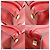 Céline Borsa a mano in pelle Celine Luggage Micro Shopper Rosso - vista 4