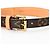 Louis Vuitton Monogram Collier Baxter PM Dog Collar Brown - view 5