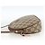 Gucci Borsa a Spalla GG Supreme PVC Beige Oro 007 983 1113 Auth BA11209 D'oro - vista 3