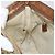 Borsa a Spalla GG Canvas Gucci Beige Argento 337598 Auth gh1763 - vista 20