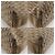Borsa a Spalla in Tela Trotter Dior Beige - vista 4