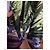 Just Cavalli Damen Jacke mit Palmenprint Mehrfarben Grün Lila - Ansicht 4