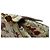 Bolsa Medium Miss Sicily de Dolce & Gabbana em couro com estampa floral - vista 7