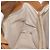 Borsa a mano Salvatore Ferragamo in pelle beige argento Auth BA11228 - vista 18