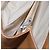 Borsa a mano Salvatore Ferragamo in pelle beige argento Auth BA11228 - vista 25