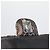 Borsa a Spalla con Catena CHANEL Satin Nero Argento CC Auth ARZ448A - vista 22