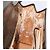 Borsa a Mano GUCCI in pelle verniciata 2 in 1 Bronzo Oro Auth 172396 - vista 11