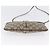 Borsa Sherry Line GG Supreme Web di GUCCI in PVC beige e oro 904 02 047 Auth 173823 D'oro - vista 5