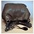 CAROLL Borsa in pelle marrone - vista 6