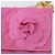 CHANEL Borsa a Spalla Matelassé Catena Camelia Tela Rosa Oro CC Auth 172461V D'oro - vista 19
