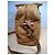 Nat & Nin Borsa in pelle marrone Cammello - vista 5