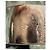 Mauboussin White Gold Star Diamond Ring Size 52 Silver hardware - view 5