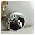 PRADA Borsa a Mano Pelliccia Bianca Oro Auth 173332SM Bianco D'oro - vista 9
