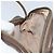 Gucci Borsa GG Supreme Web Sherry Line in PVC beige e oro 007 58 6112 Auth LNZ553 D'oro - vista 20