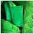 Borsa Tote Intrecciato di Bottega Veneta Verde - vista 6