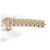 Reloj automático Rolex Datejust con esfera dorada 179143G Dorado - vista 7