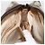Sac à main Gucci GG Supreme Web Sherry Line PVC Beige Or 010 378 Auth ka3033 Doré - vue 10