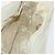 Bamboo Borsa a Spalla GUCCI in Camoscio Avorio Oro 001 2113 Auth fm5113 D'oro Crudo - vista 18