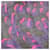 Sciarpa in seta e cashmere Louis Vuitton Nero Porpora  - vista 4