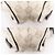 2-in-1 Anagram Canvas Tasche Senda von Loewe Beige - Ansicht 4