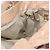 Céline Borsa a mano CELINE in pelle beige dorato Auth 174610 D'oro - vista 19