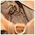 Borsa a mano in pelle Miu Miu Bamboo 2 in 1 Marrone Oro Auth 174060A D'oro - vista 26