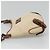 Burberry Blue Label Canvas Beige - vista 4