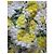 Vestido midi Dolce & Gabbana estampado de limón blanco y amarillo Multicolor - vista 3