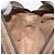 Borsa Sherry Line GG Supreme Web di GUCCI in PVC beige e oro 156 02 066 Auth BA11402 D'oro - vista 19
