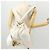 Zaino CHANEL in pelle bianca oro CC Auth gh1739 Bianco D'oro - vista 23