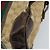 Borsa Boston in tela GG della linea Sherry di GUCCI Beige Oro Rosso Auth gh1789 D'oro - vista 12
