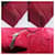 Borsa Hermès Troca Horizontal PM Rosso  - vista 6