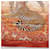 Sciarpa Hermès Carré 90 Arancione  - vista 8