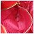 Rote Lackleder Tote Bag von Prada - Ansicht 5