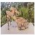 Casadei Python Sandals - view 5