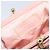 Pochette in pelle Vala Chain di Salvatore Ferragamo Rosa Oro Auth LNZ683A - vista 12