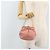 Pochette in pelle Vala Chain di Salvatore Ferragamo Rosa Oro Auth LNZ683A - vista 19
