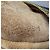 Céline Celine Medium Ava Shoulder Bag in Brown Calf Leather - view 7