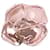 Ralph & Russo Spilla oro rosa - vista 2