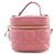 Dior Bolsa Crossbody Lady Vanity Case