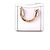 Gucci Borsa Tote Diana a tracolla Multicolore - vista 3